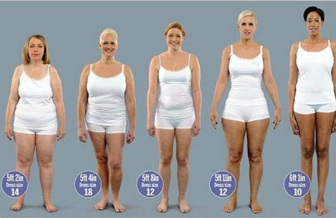 Divulgação Como o mesmo peso pode representar shapes diferentes
