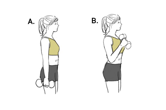 Treino Bianca Bin O treino de musculação de Bianca Bin para definir braços, costas e abdômen