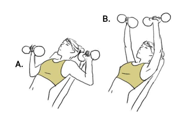 Treino Bianca Bin O treino de musculação de Bianca Bin para definir braços, costas e abdômen