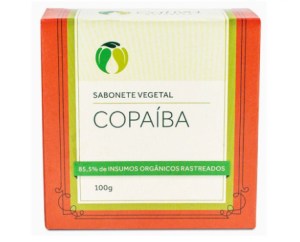 Dia de proteção às florestas: conheça 15 produtos de beleza sustentáveis