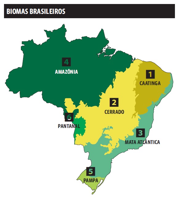 Biosfera: Biomas brasileiros