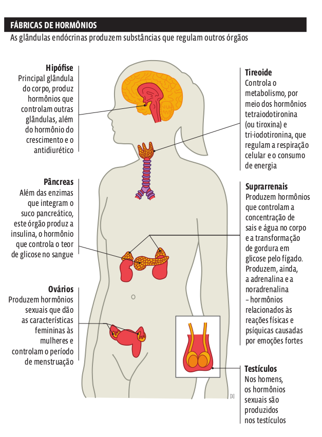 Corpo Humano Dificil, PDF, Fisiologia Animal