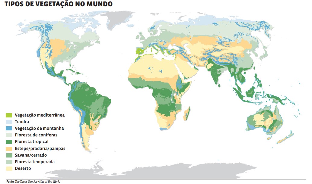 Principais tipos de vegetação do mundo - Toda Matéria