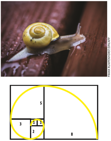 Razão e proporção