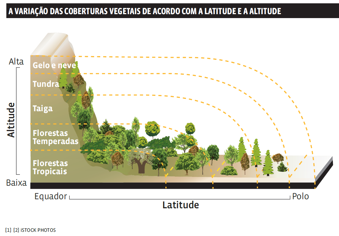 Campos. Campos: tipo de vegetação - Mundo Educação