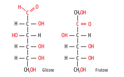 GLICOSE_FRUTOSE