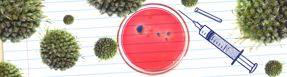 018-BIOMEDICINA.jpg