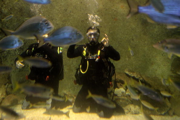 Como posso trabalhar com Biologia Marinha?