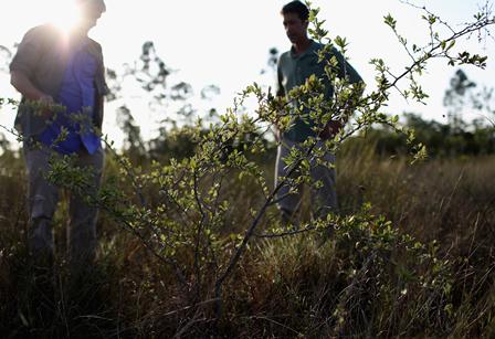 cienciaambiental.jpg Itep prorroga inscrições para mestrado em Tecnologia Ambiental