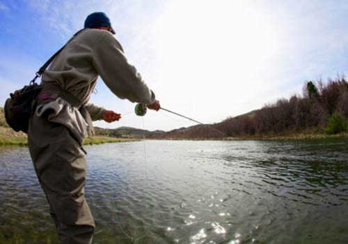 Engenharia da Pesca &eacute; o curso ideal para mim?