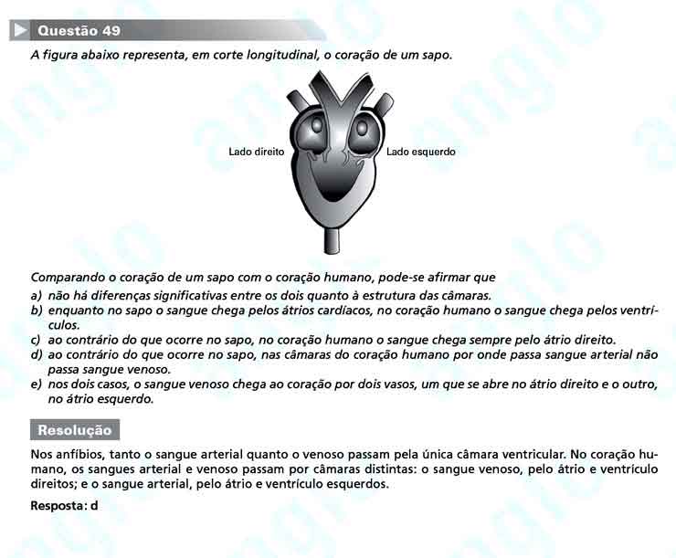FUVEST 2011 &ndash; Primeira Fase &ndash; Quest&atilde;o 49