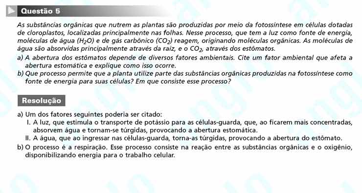 Unicamp 2011 &ndash; segunda fase: Quest&atilde;o 5 &ndash; Ci&ecirc;ncias da natureza