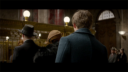 Novo filme do Harry Potter será transformado em livro