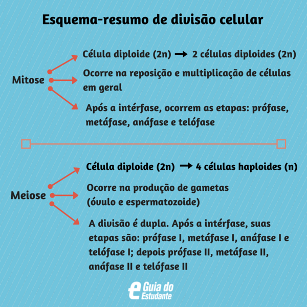 Significado de Resumo- como fazer um resumo