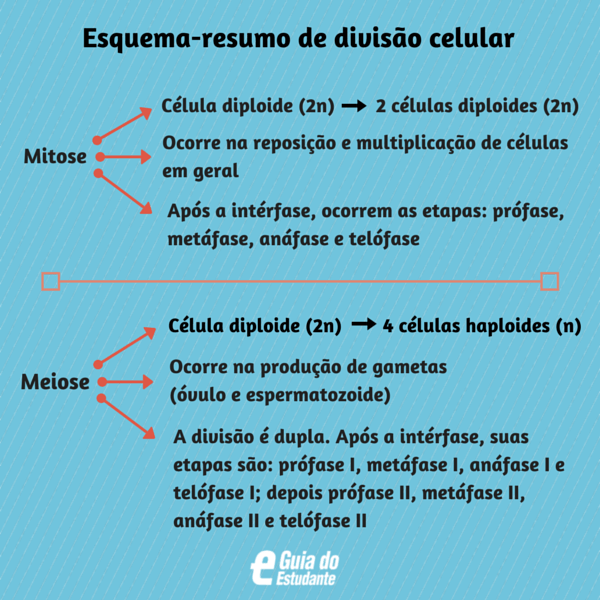 4 passos para fazer um bom resumo