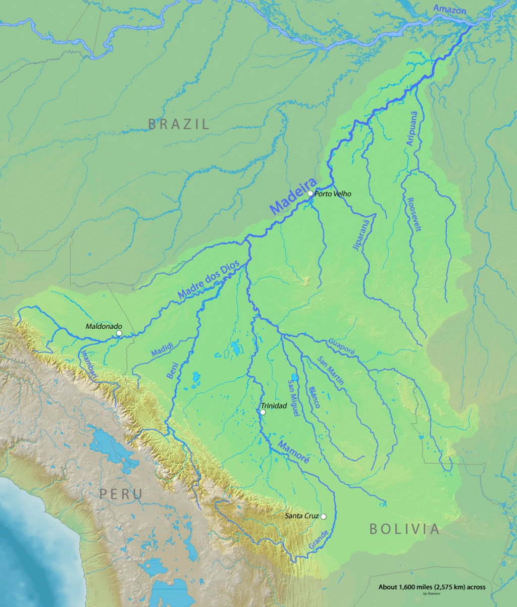 O rio Madeira e os outros rios afluentes, entre eles o rio Roosevelt (no centro direito da imagem) (foto: Wikimedia Commons)