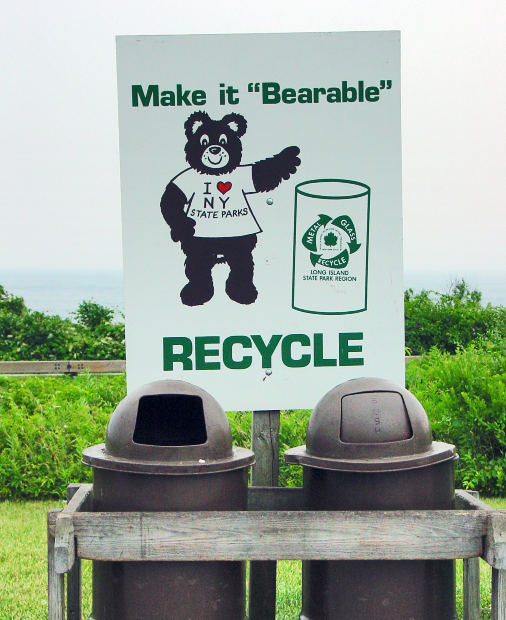 Engenheiros ambientais podem desenvolver projetos relacionados à reciclagem (Créditos: Morgue File)