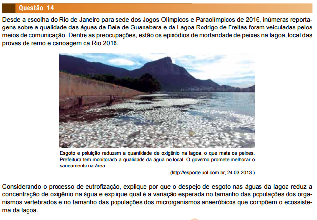 unesp-poluicao-2017 Unesp 2017: baixe a prova do primeiro dia e veja a correção