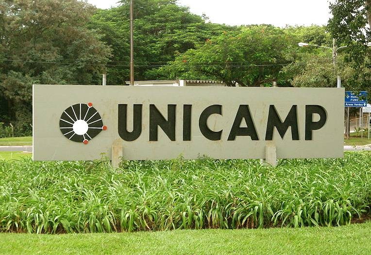 Unicamp 2018 A Figura Anterior Destaca Um Dominio