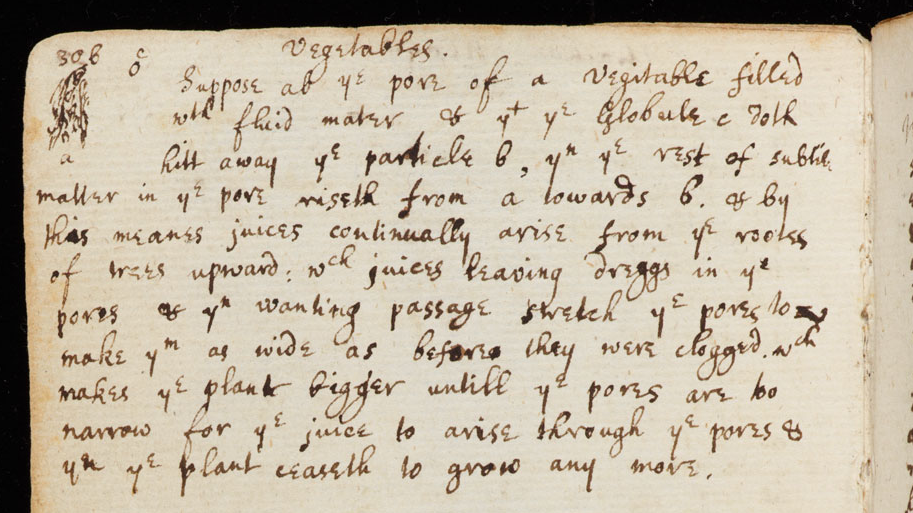 As anotações ocupam apenas metade da folha de um dos cadernos de Newton (Foto: The Cambridge University Library)