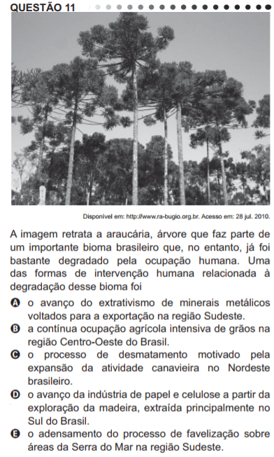 Vegetação do Brasil: tipos e características - PrePara ENEM