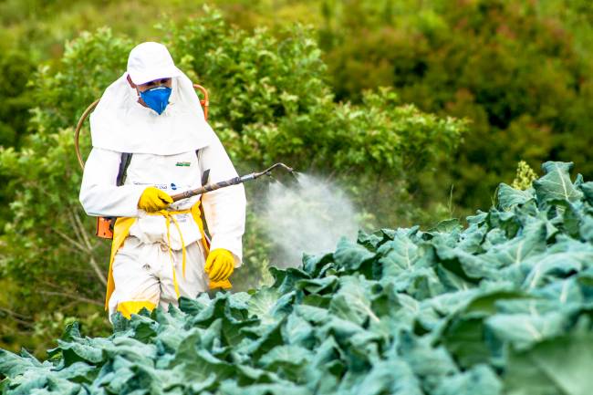 Entenda o que são os agrotóxicos e quais riscos representam