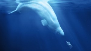 oceanos de plástico