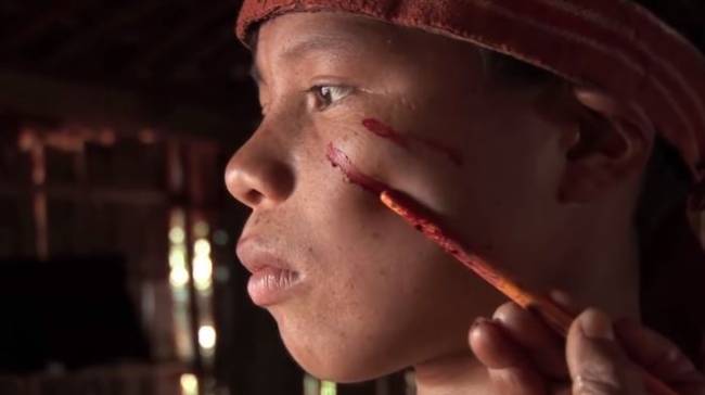 À Sombra de um Delírio Verde 8 documentários sobre as culturas indígenas