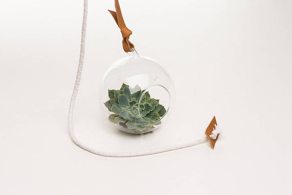 Hanger Glass - Sacada Design