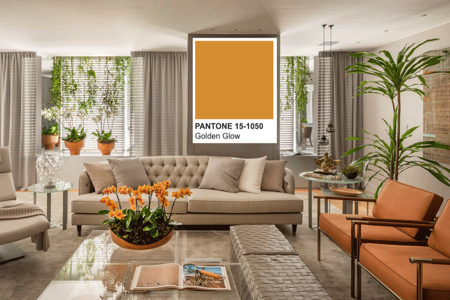 ana-lucia-juca-pantone