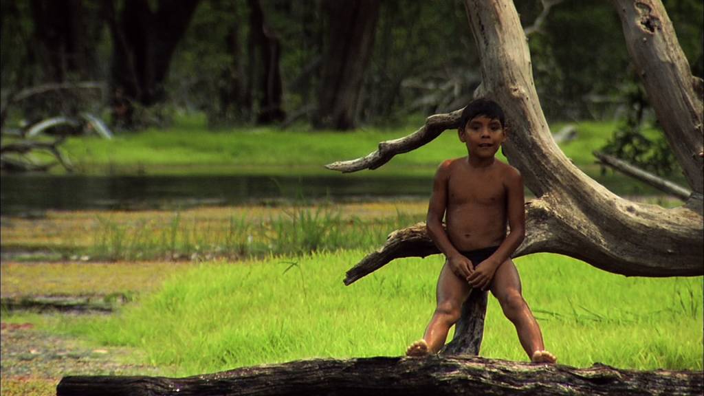 Cópia de menino amazonia